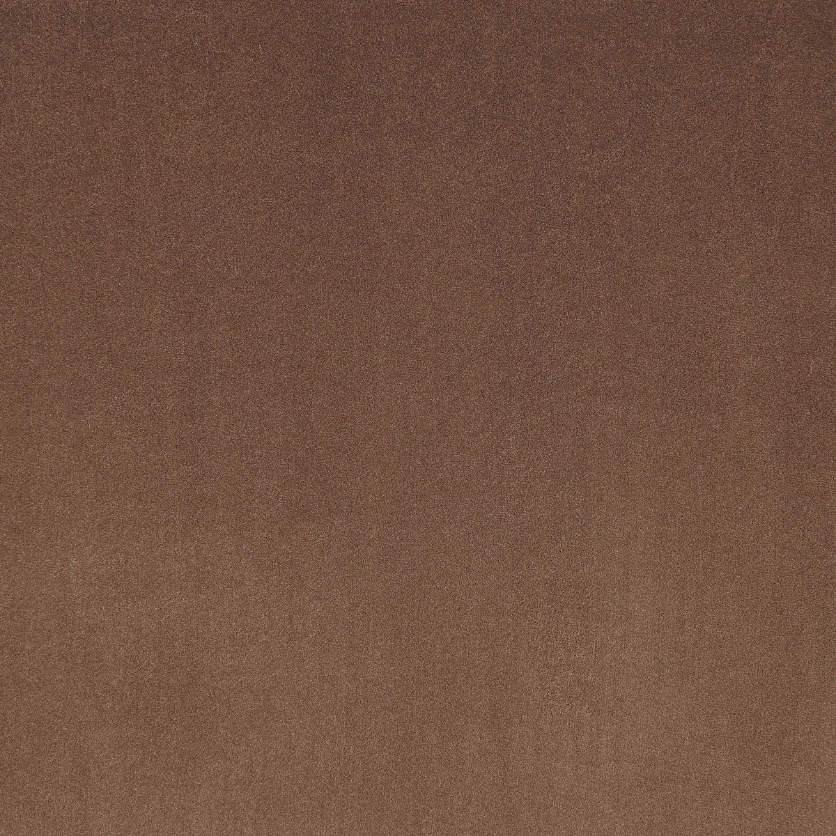 Monarch - Velvet Dining Chair (Set of 2)