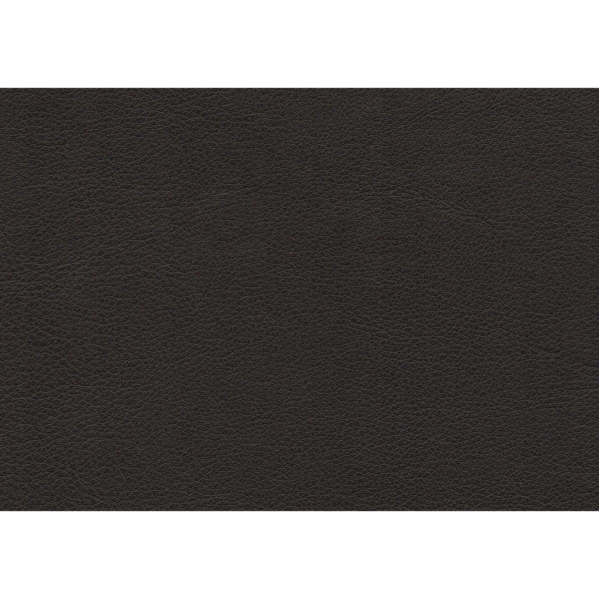Dawson - Double Reclining Loveseat - Brown
