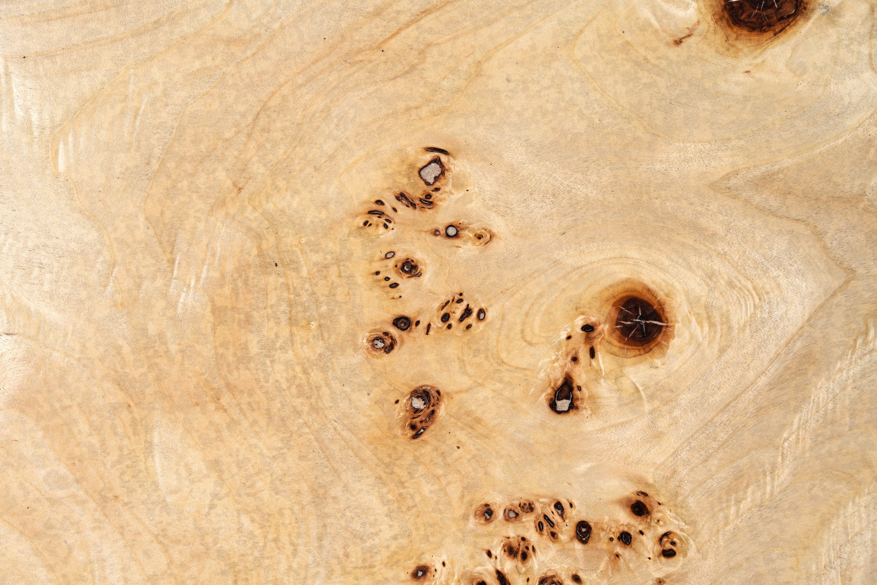 Modrest July - Modern Mapa Burl Round Coffee Table