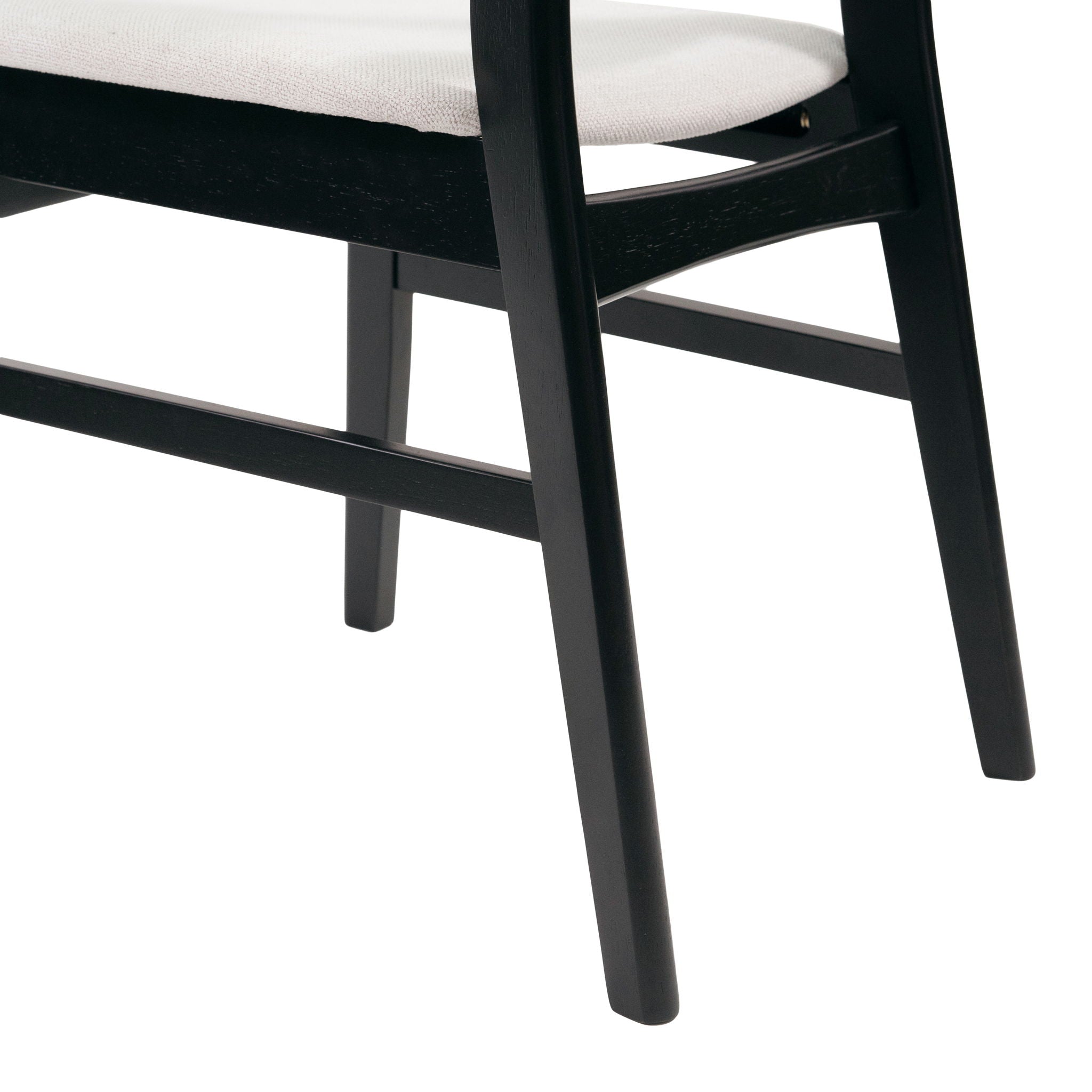 Modern Dining Chairs With Cushioned Seat (Set of 2)
