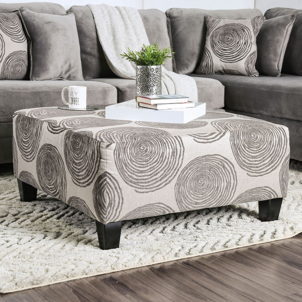 Bonaventura Gray/Pattern Transitional Living Room Set