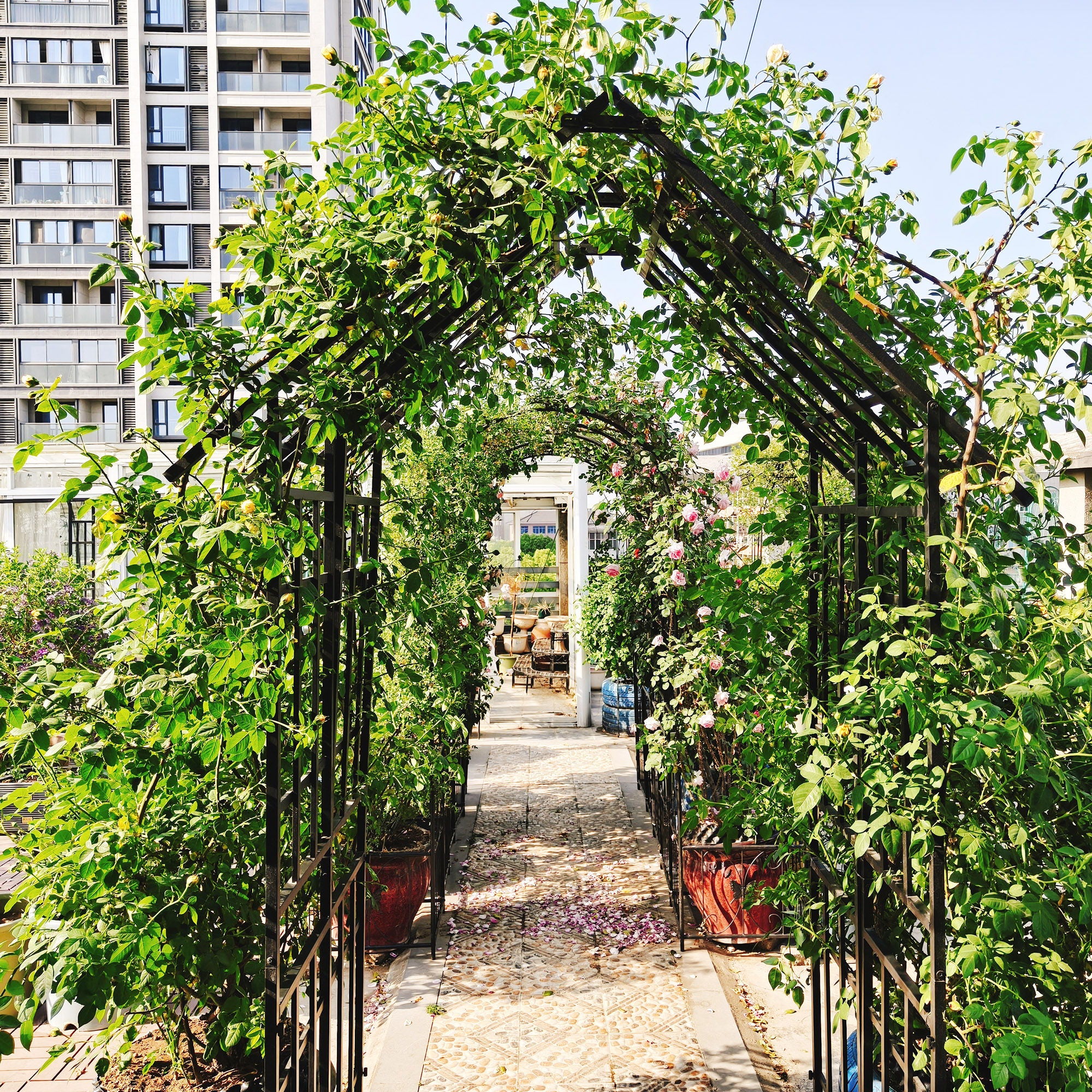 Garden Arch With Adjustable Width Climbing Plants Support - Black