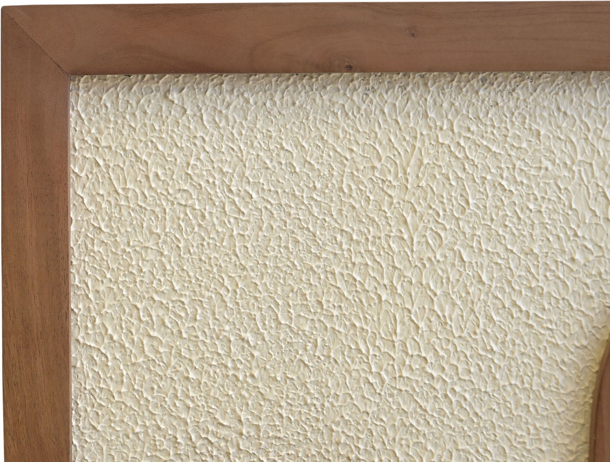 Arid - Mango Wood Wall Decor