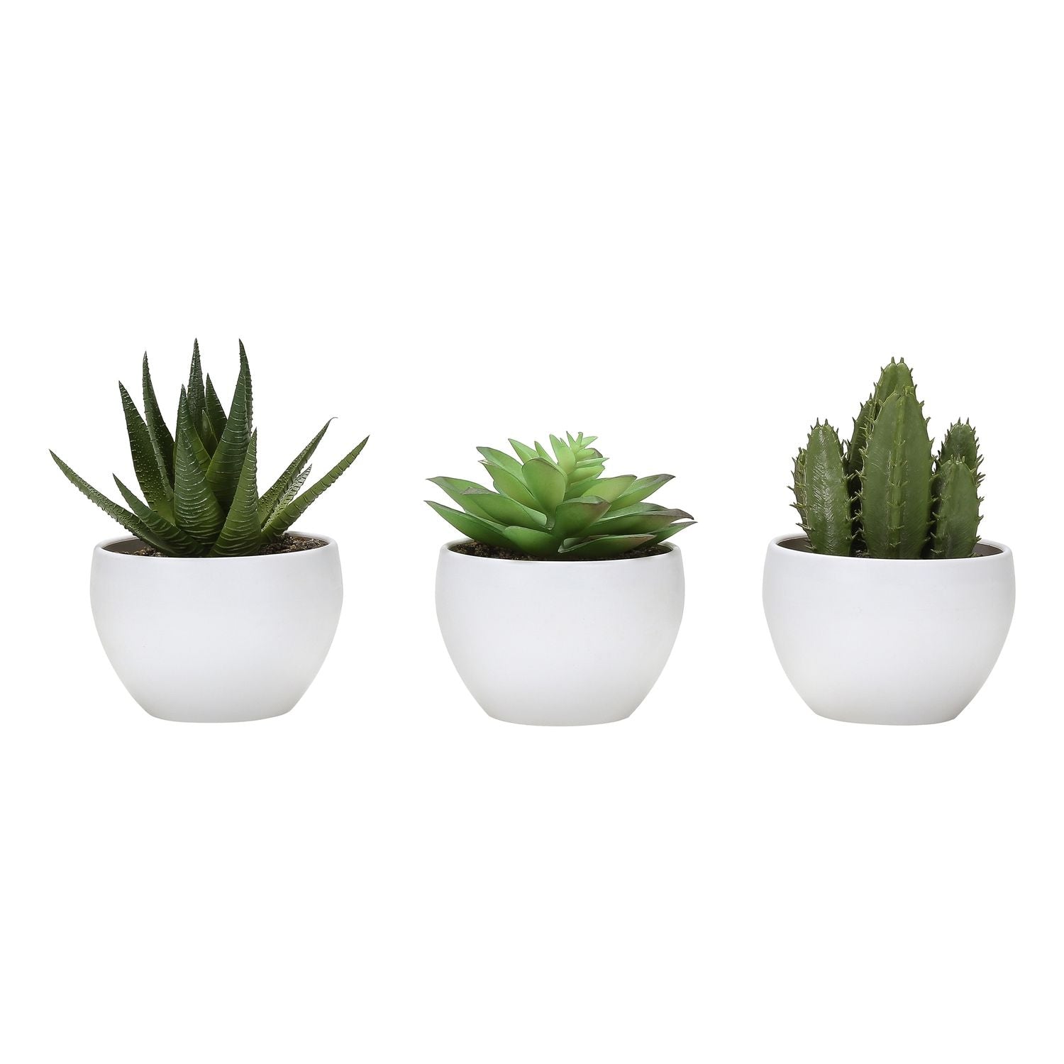 Artificial Succulent Plants (Set of 3)
