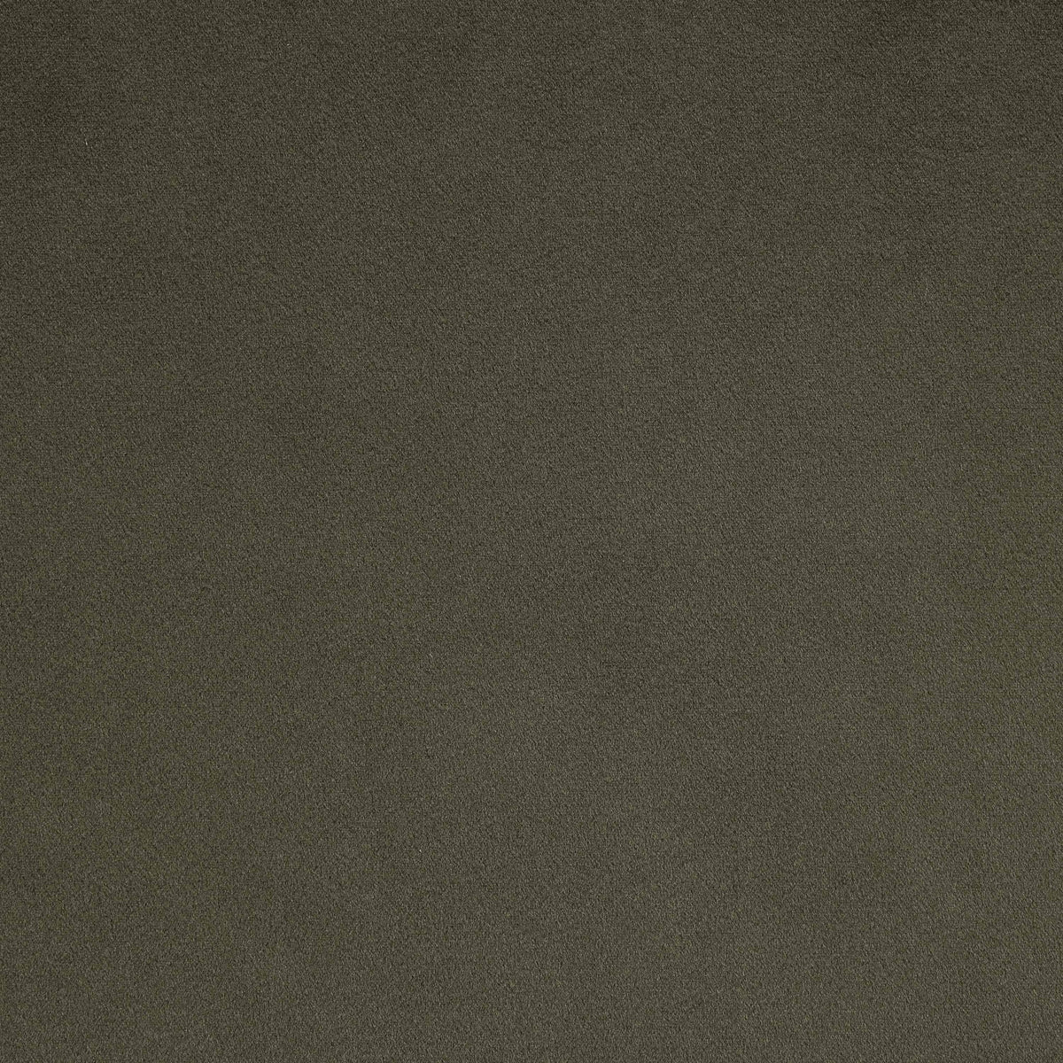 Austin - Velvet Sofa