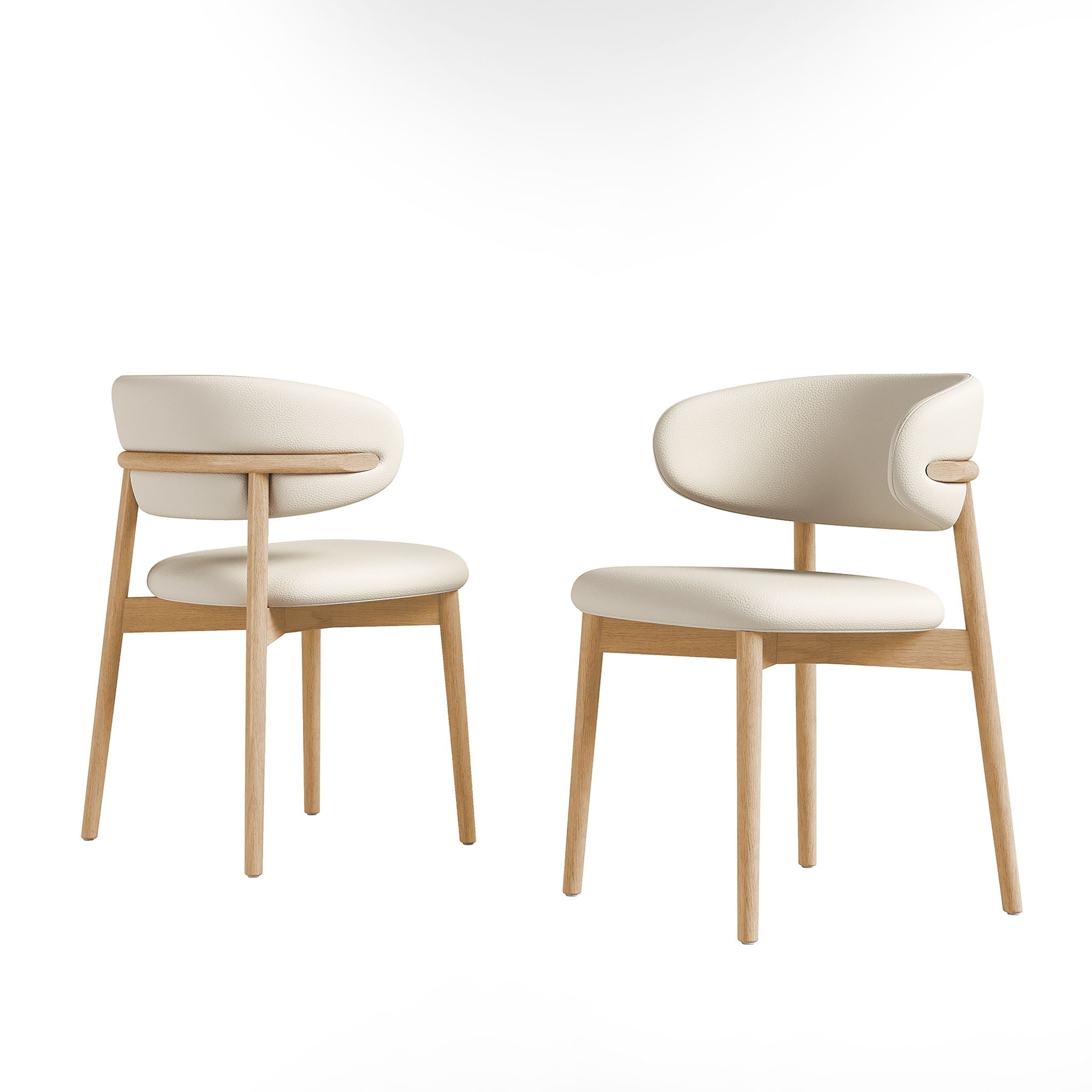 Mid-Century Modern Dining Chair (Set of 2)