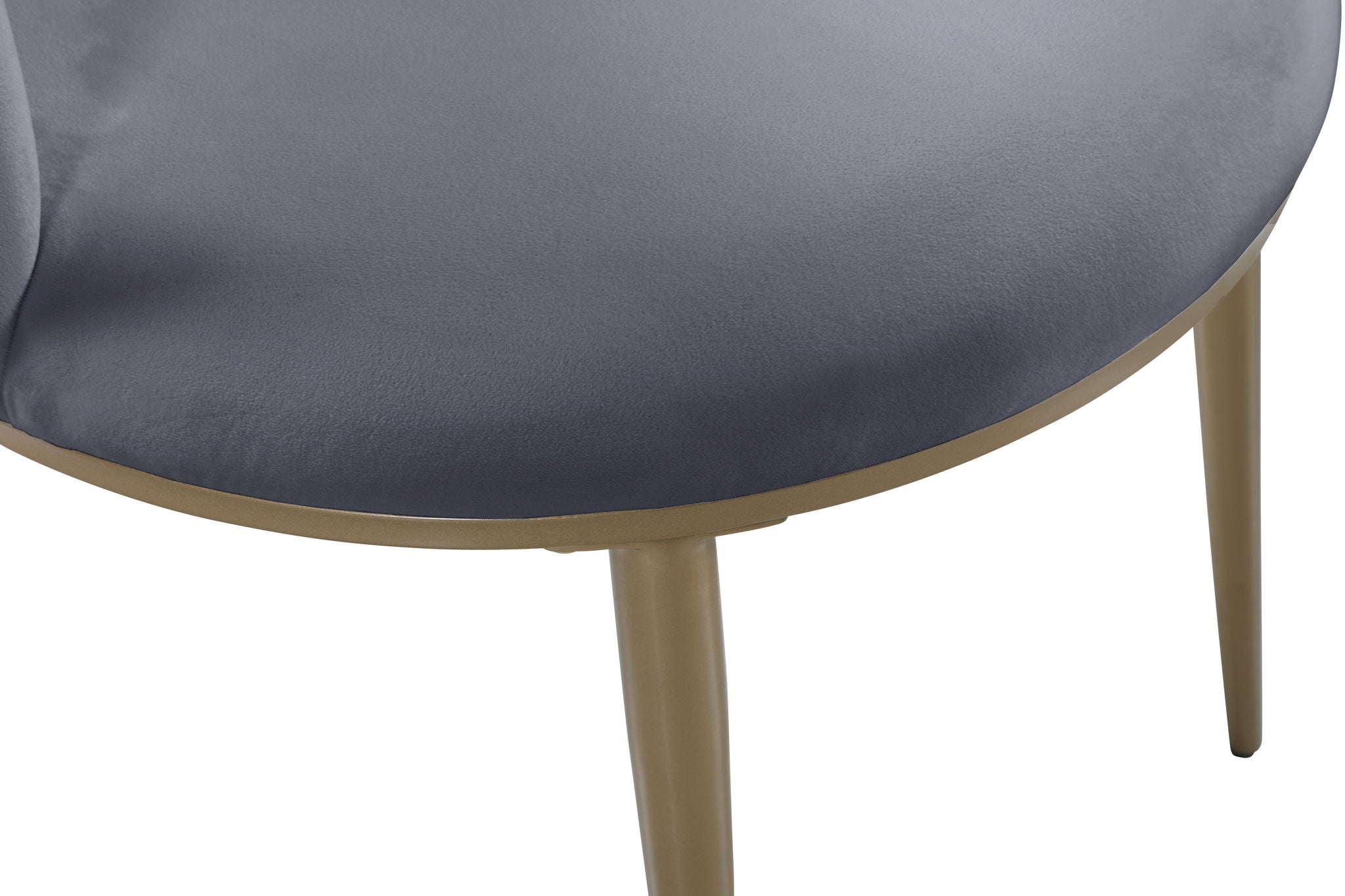 Skylar - Dining Chair with Gold Legs (Set of 2)