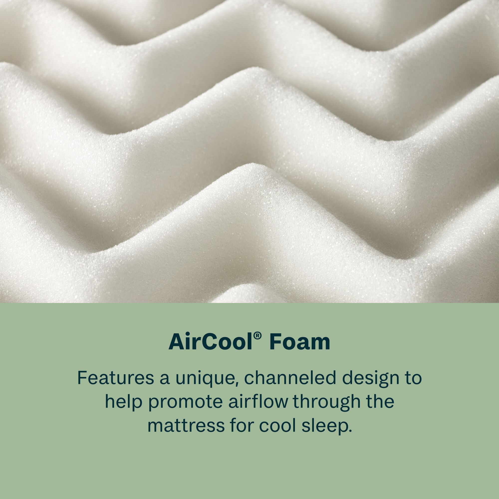 Peaceful Morning - 14.25" Medium Pillow Top Mattress