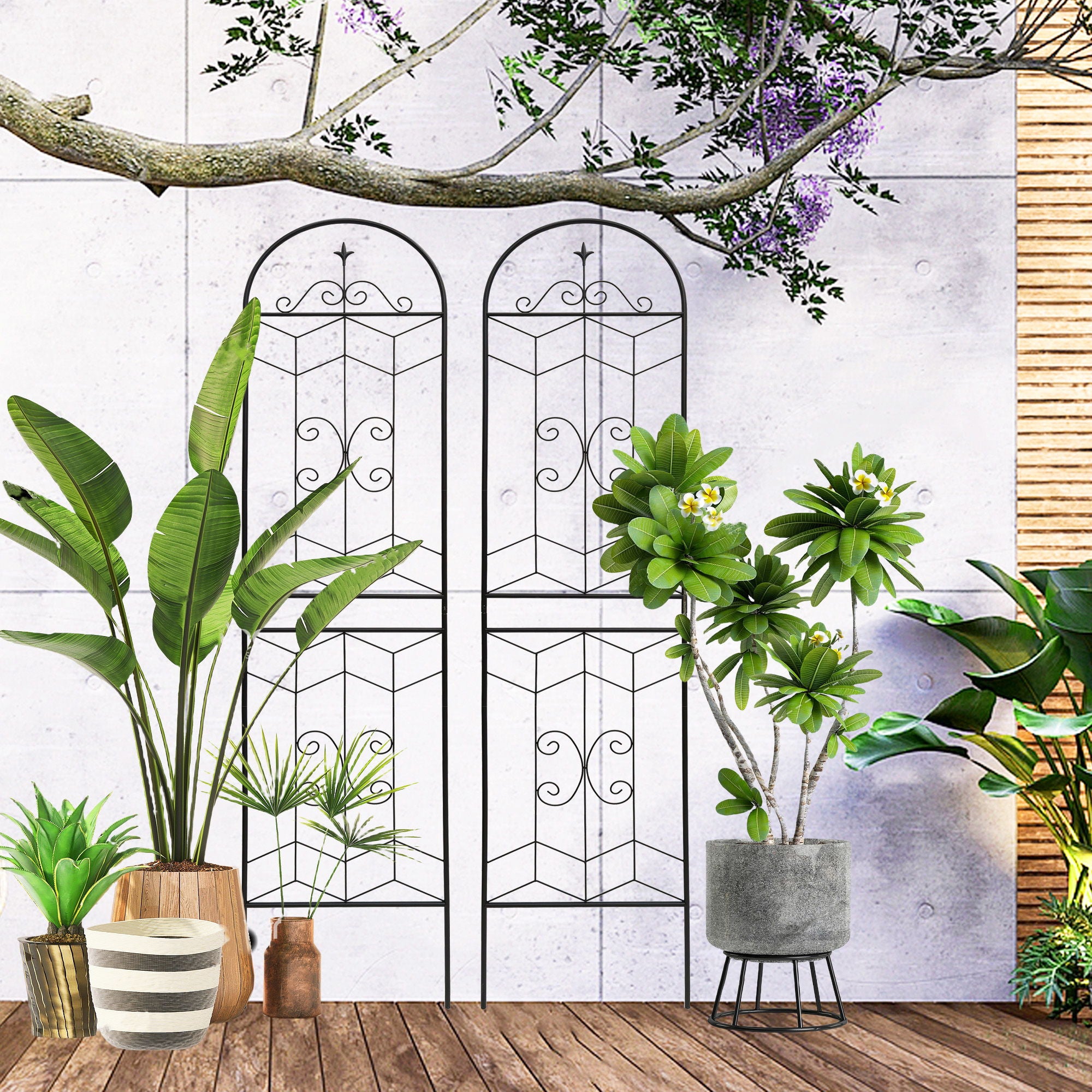 Garden Trellis, Rustproof Support For Climbing Plants