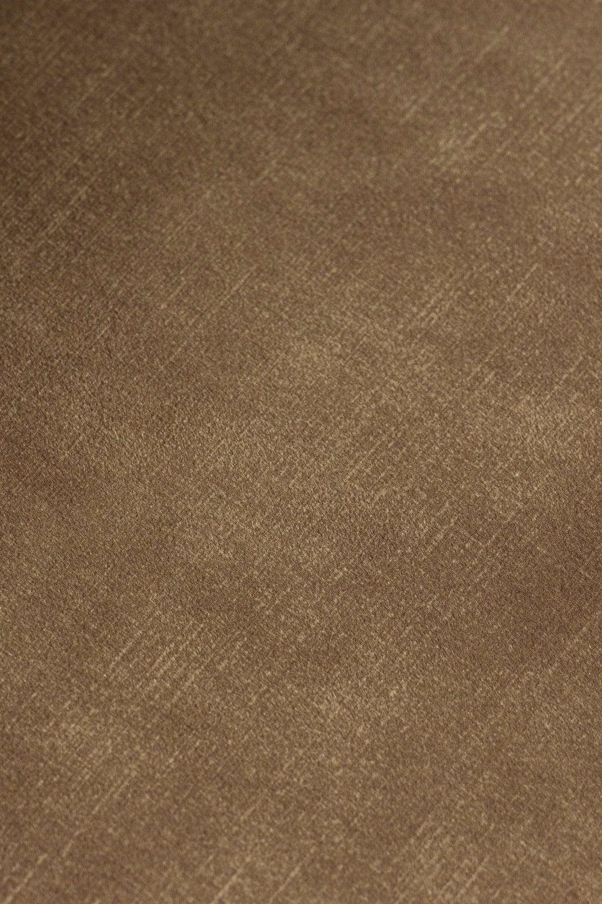 Ditka - Modern Camel Velvet Dining Chair (Set of 2)