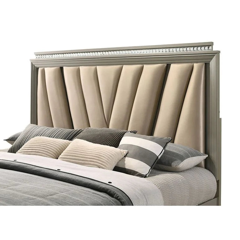 B6500 Chiara