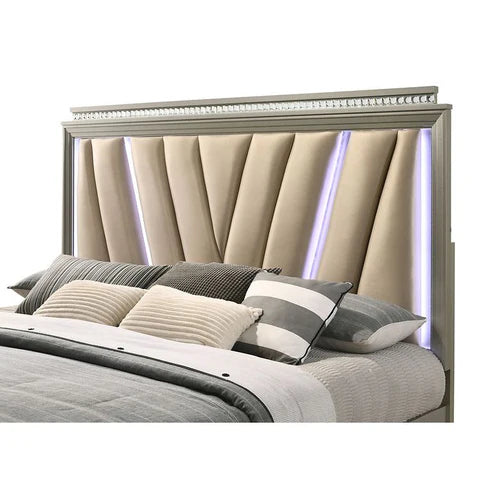B6500 Chiara