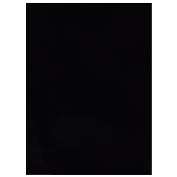 Rabbit Black