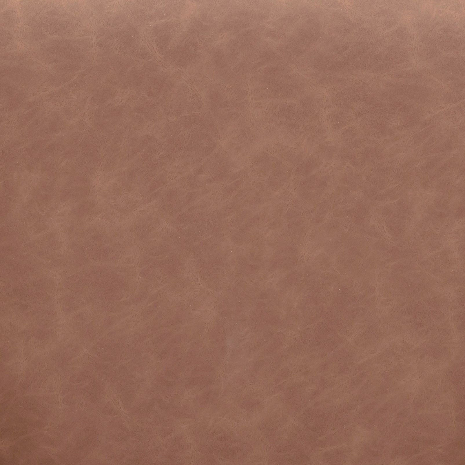 Vina - Vegan Leather Dining Chair