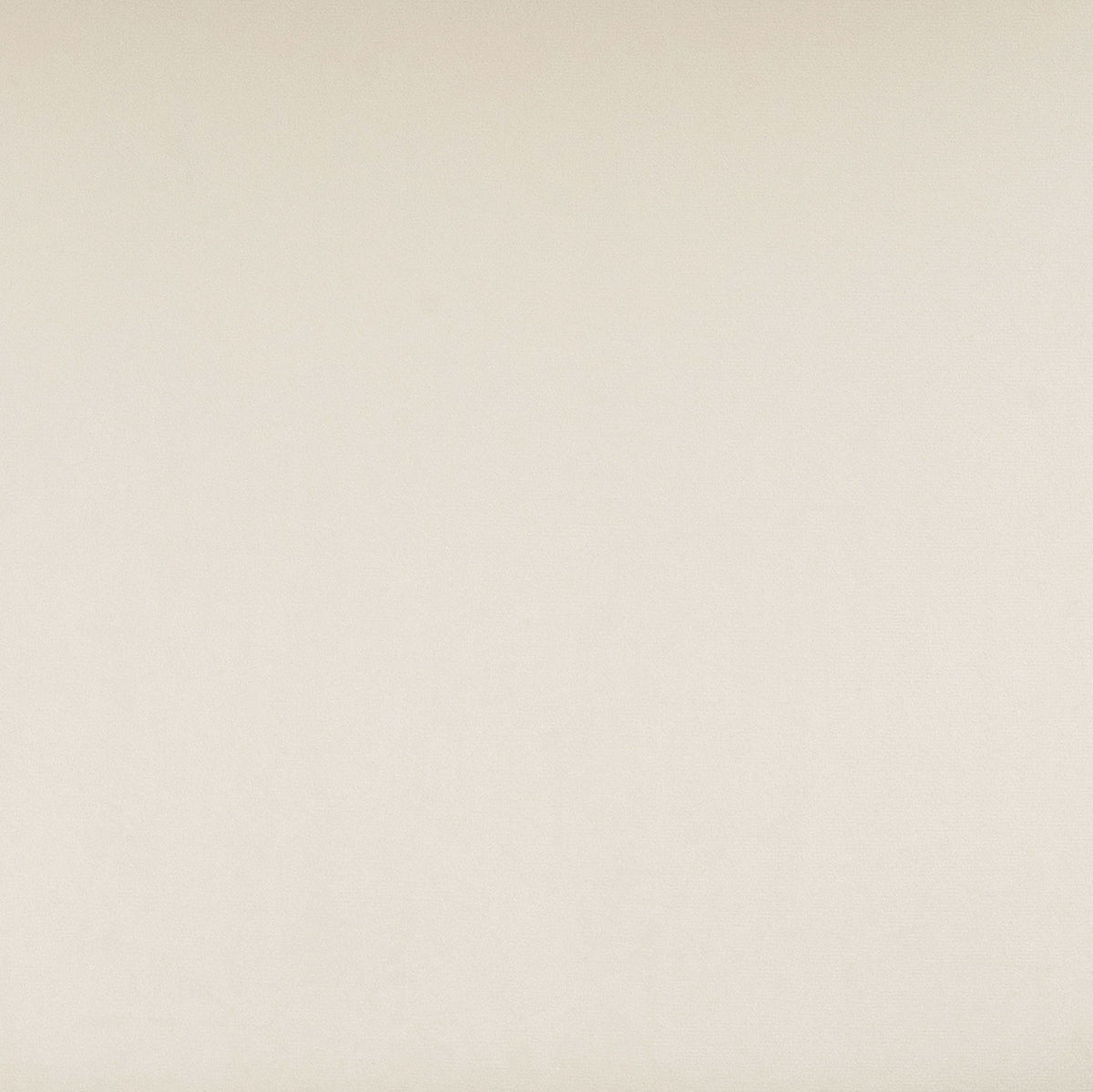 Calla - Performance Velvet Dining Chair