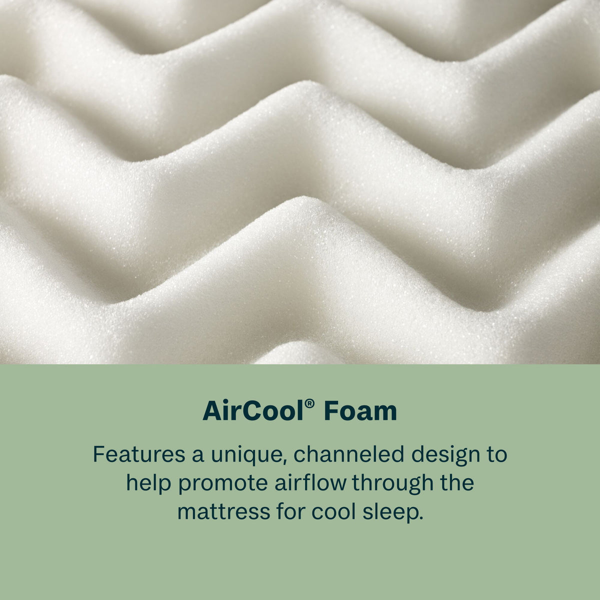 Dream Weaver - 12.5" Firm Mattress