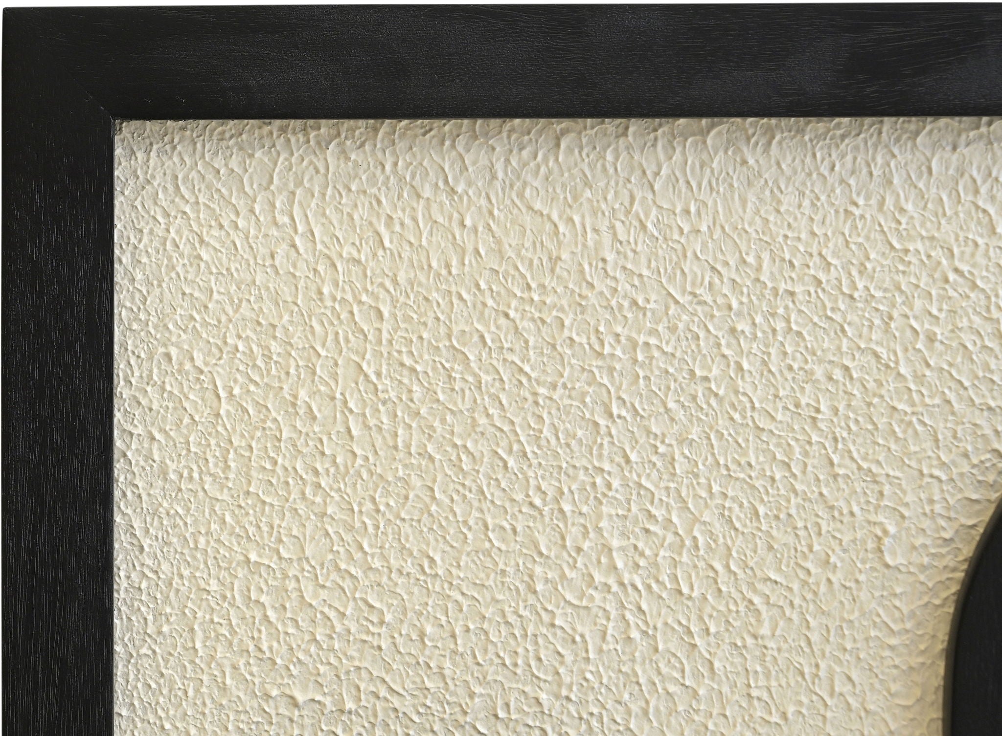 Arid - Mango Wood Wall Decor
