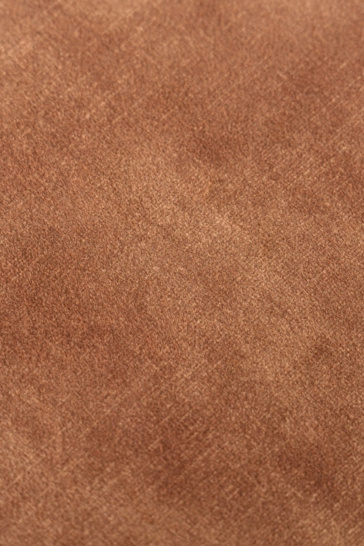 Saehee - Modern Camel Velvet Fabric Dining Chair