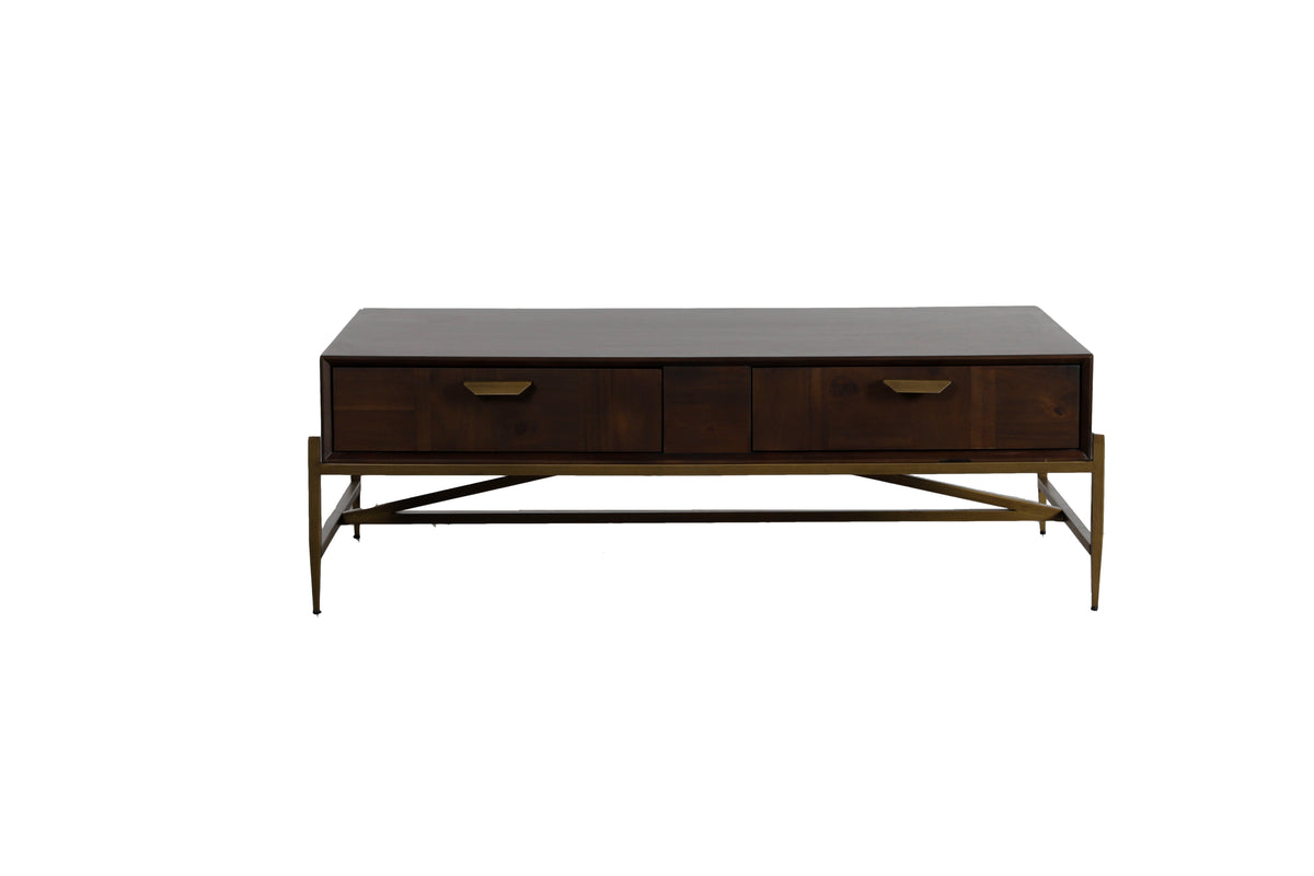 Shane - Modern Acacia & Brass Coffee Table