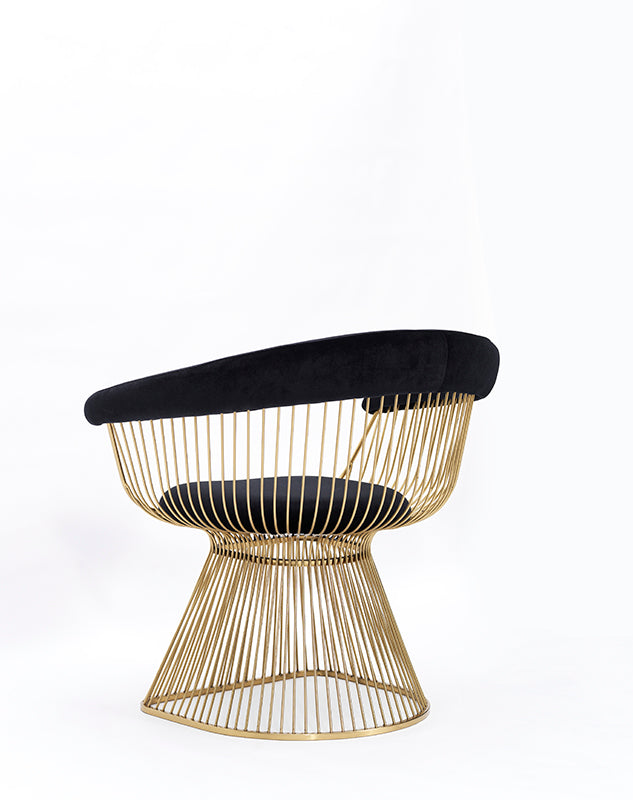 Modrest Chandler Black Velvet & Gold Dining Chair